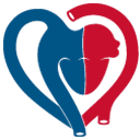 CardioVasculäres Centrum Frankfurt CVC Logo