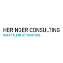 Heringer Consulting GmbH Logo