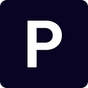 Privatize Logo